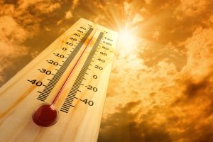 Heat Alert for this Week in North Carolina: Heat Safety Tips