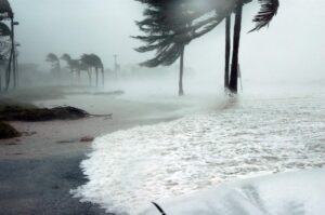 Read more about the article Hurricane Idalia Expected to Hit Southeast Coast of the U.S.
